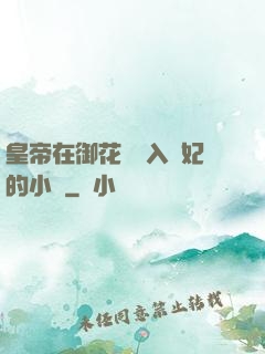 皇帝在御花園進入貴妃的小說