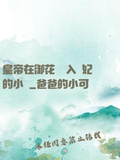 皇帝在御花園進入貴妃的小說
