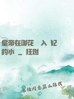 皇帝在御花園進入貴妃的小說