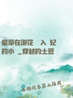 皇帝在御花園進入貴妃的小說