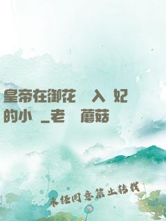 皇帝在御花園進入貴妃的小說