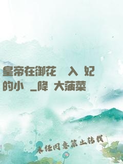 皇帝在御花園進入貴妃的小說