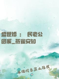 盛世婚寵：國民老公帶回家