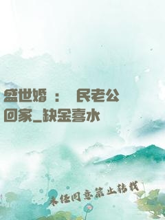 盛世婚寵：國民老公帶回家