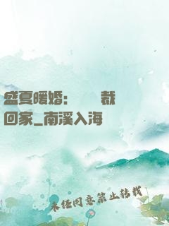 盛夏暖婚：億萬總裁帶回家