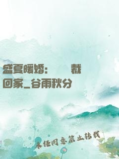 盛夏暖婚：億萬總裁帶回家