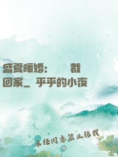 盛夏暖婚：億萬總裁帶回家