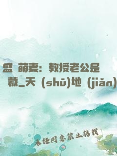 盛寵萌妻：教授老公是總裁