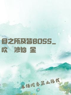 目之所及皆BOSS