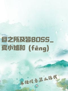目之所及皆BOSS