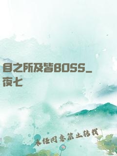 目之所及皆BOSS