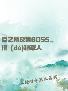 目之所及皆BOSS