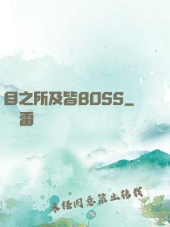 目之所及皆BOSS