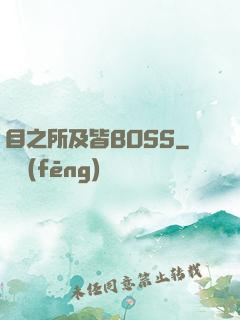 目之所及皆BOSS