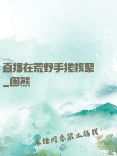 直播在荒野手搓核聚變