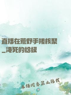 直播在荒野手搓核聚變
