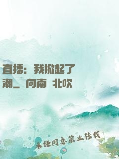直播：我掀起了國風熱潮