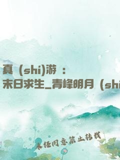 真實(shí)游戲：末日求生