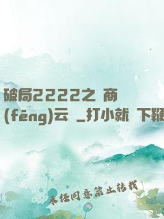 破局2222之電商風(fēng)云錄