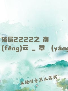 破局2222之電商風(fēng)云錄