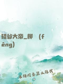 硅谷大帝