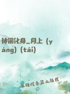神偷化身
