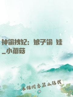 神偷拽妃：娘子偷個娃