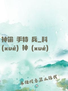 神偷殺手特種兵