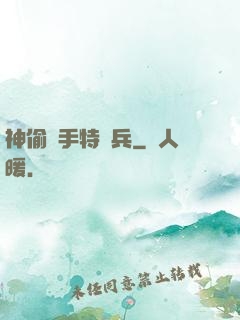 神偷殺手特種兵