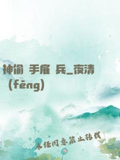神偷殺手雇傭兵
