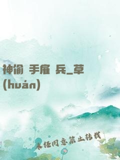 神偷殺手雇傭兵