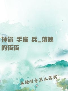 神偷殺手雇傭兵