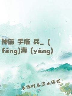 神偷殺手雇傭兵