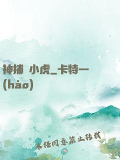 神捕聶小虎