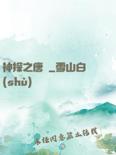 神探之唐銘