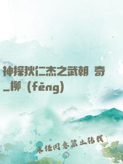 神探狄仁杰之武朝傳奇