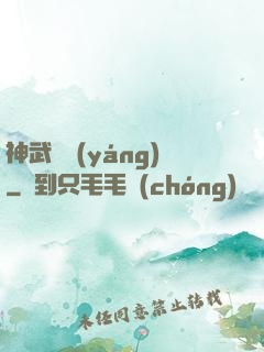神武飛揚(yáng)