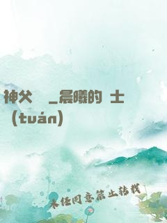 神父馬維