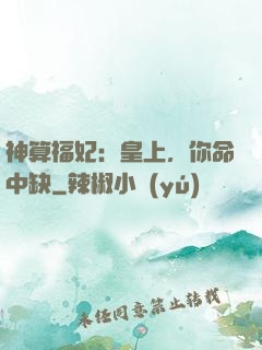神算福妃：皇上，你命中缺