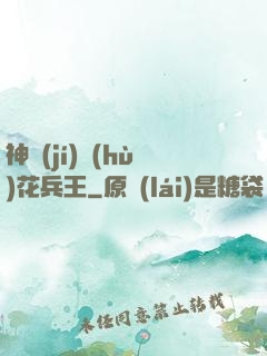神級(jí)護(hù)花兵王