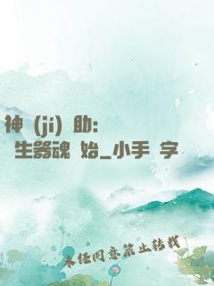 神級(jí)輔助：從雙生器魂開始