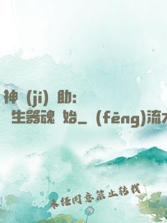 神級(jí)輔助：從雙生器魂開始