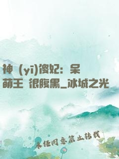 神醫(yī)傻妃：呆萌王爺很腹黑