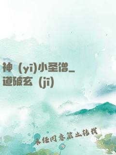 神醫(yī)小圣僧