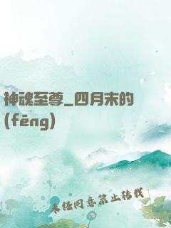 神魂至尊
