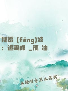 秘婚風(fēng)波：追妻成癮