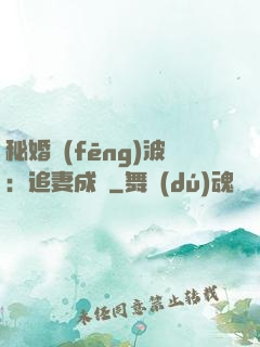 秘婚風(fēng)波：追妻成癮