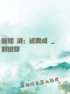 秘婚風波：追妻成癮