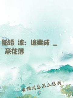 秘婚風波：追妻成癮