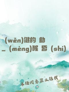 穩(wěn)健的輔助